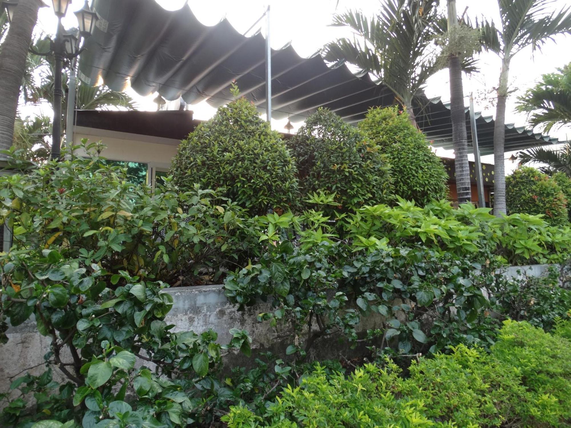 Hoai Pho Hotel Ho Chi Minh-staden Exteriör bild
